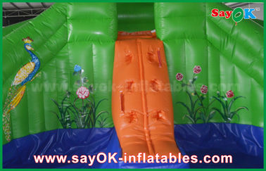 Rumah Bouncing Inflatable Dengan Slide Pvc Musim Panas Bouncer Inflatable Slide Di Luar Kodok Water Slide Dengan Cetakan